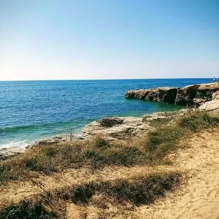 Maison Proche Ocean Dans Calme
